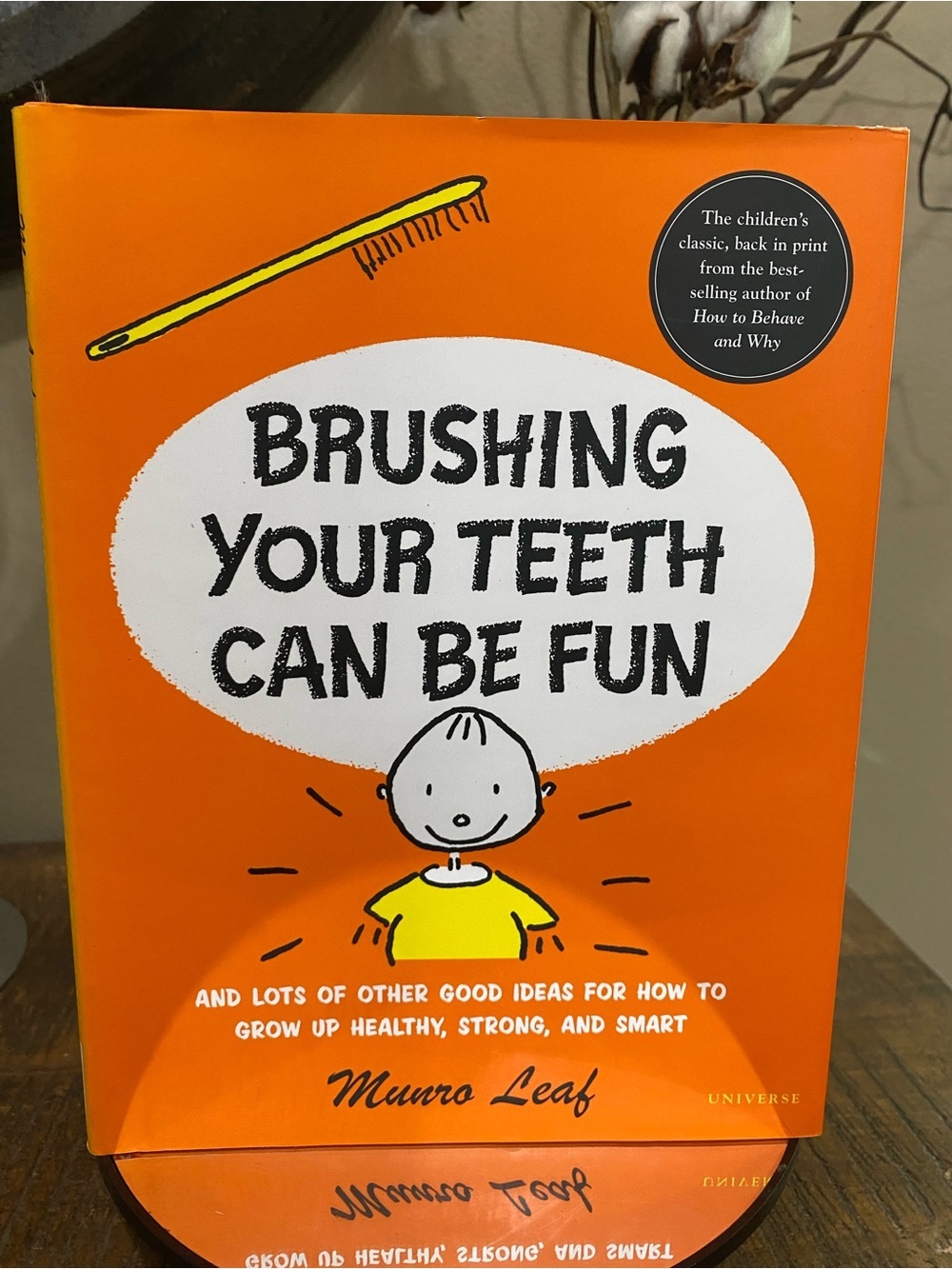 Brushing Your Teeth Can Be Fun - Kids Book